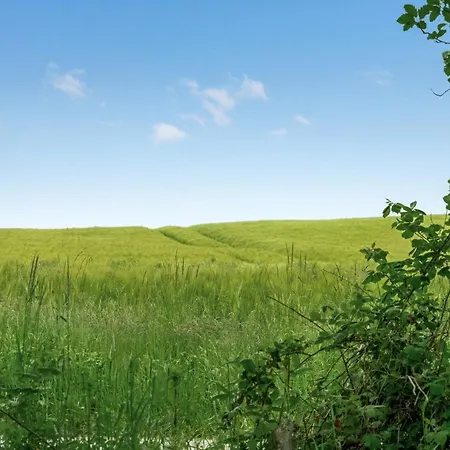 Thorwer - 250m From The Sea By Interhome *