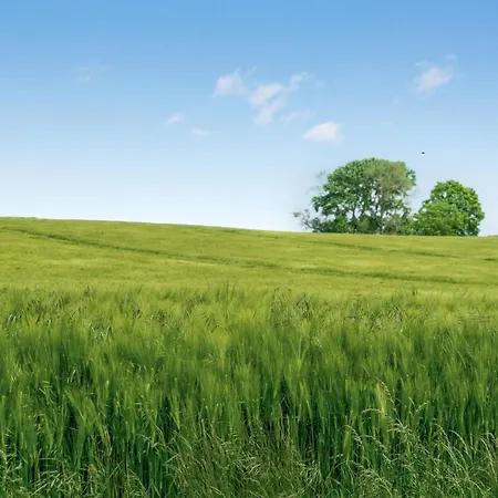 Semesterbostad Thorwer - 250m From The Sea By Interhome *