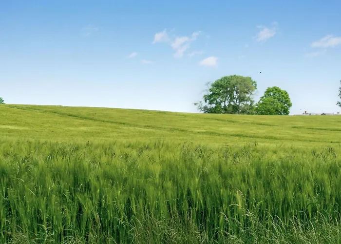 Semesterbostad Thorwer - 250m From The Sea By Interhome *